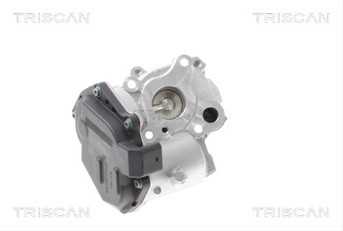 Supapa Egr Triscan Mercedes-Benz 8813 23015