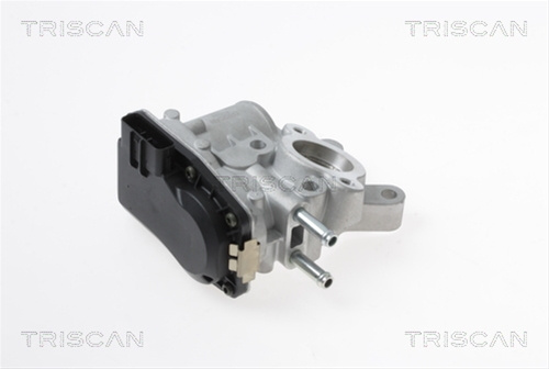 Supapa Egr Triscan Nissan 8813 14100