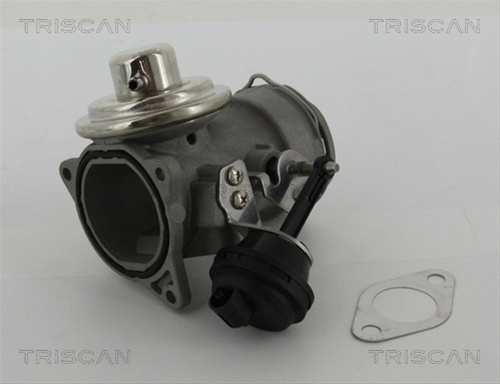 Supapa Egr Triscan Seat 8813 29036