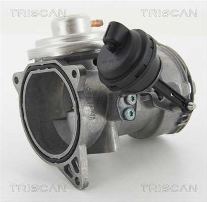 Supapa Egr Triscan Vw 8813 29070