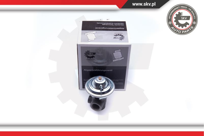 Supapa EGR ; VOLVO ; 6842404