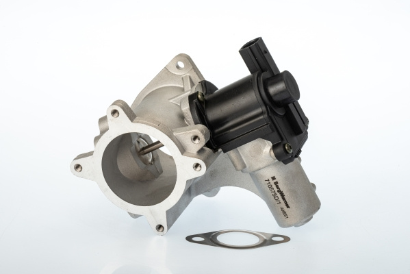 Supapa EGR (WA710575D1 WAHLER) VW