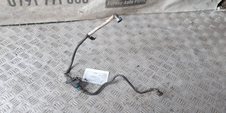 Supapa evacuare 208859042R Nissan Juke YF15 [2010 - 2014]