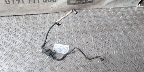 Supapa evacuare 208859042R Nissan Juke YF15 [2010 - 2014]