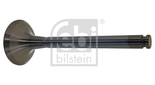 Supapa Evacuare Febi Bilstein Mercedes-Benz 19567
