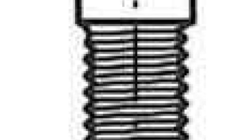 Supapa evacuare MERCEDES-BENZ E-CLASS W124 FRECCIA R3634/BMCR