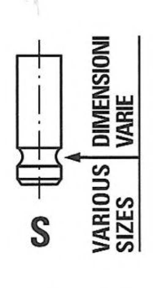 Supapa evacuare NISSAN NAVARA platou / sasiu (D22) (1997 - 2016) FRECCIA R6285/RNT piesa NOUA