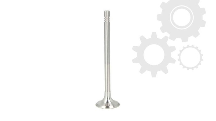 Supapa evacuare VW JETTA III 1K2 Producator FRECCIA R6014/BM