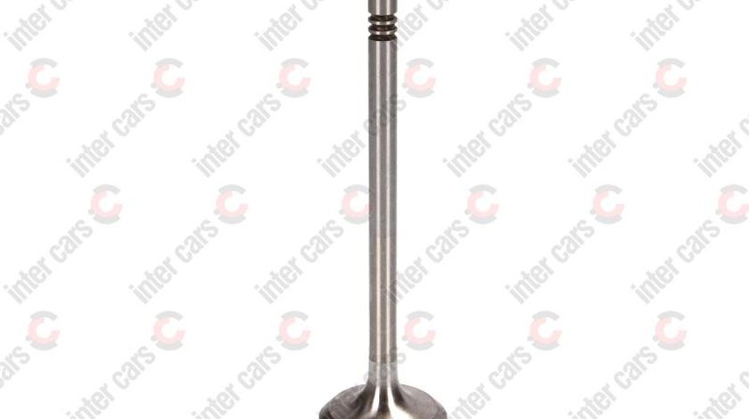 Supapa evacuare VW LUPO 6X1 6E1 Producator FRECCIA R6198/BM