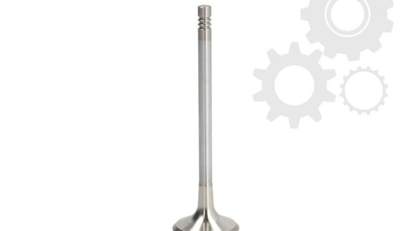 Supapa evacuare VW PASSAT CC 357 Producator FRECCIA R6705/BMARCR