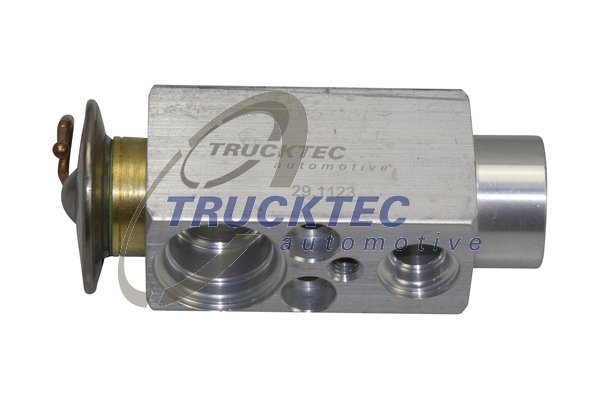 Supapa expansiune, clima (0859025 TRUCKTEC) BMW