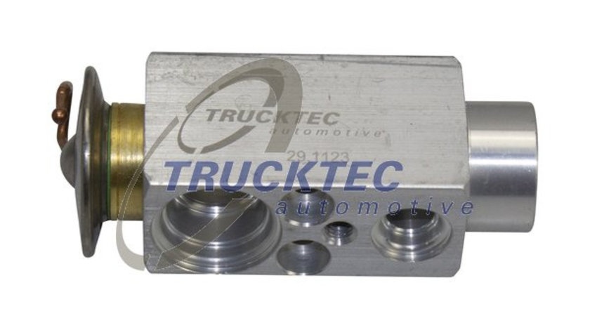 Supapa expansiune, clima (0859025 TRUCKTEC) BMW