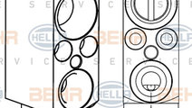 Supapa expansiune, clima (8UW351234621 HELLA) BMW