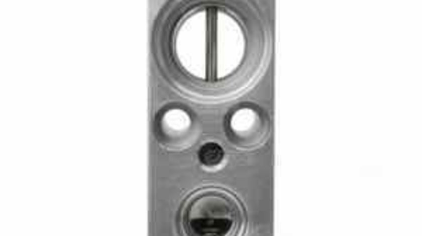 Supapa expansiune clima BMW X5 E53 Producator THERMOTEC KTT140037
