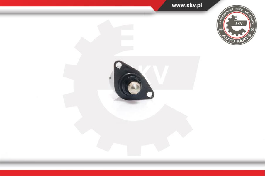 Supapa reglaj mers in gol ; CITROEN PEUGEOT 206 ; 19201F