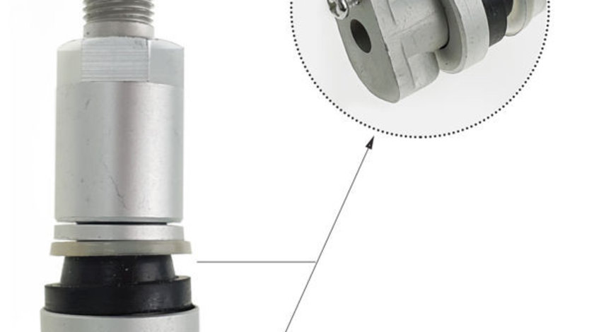 Supapa,sistem de control presiune pneuri PEUGEOT 307 (3A/C) PROFITOOL VL-TPMS-02