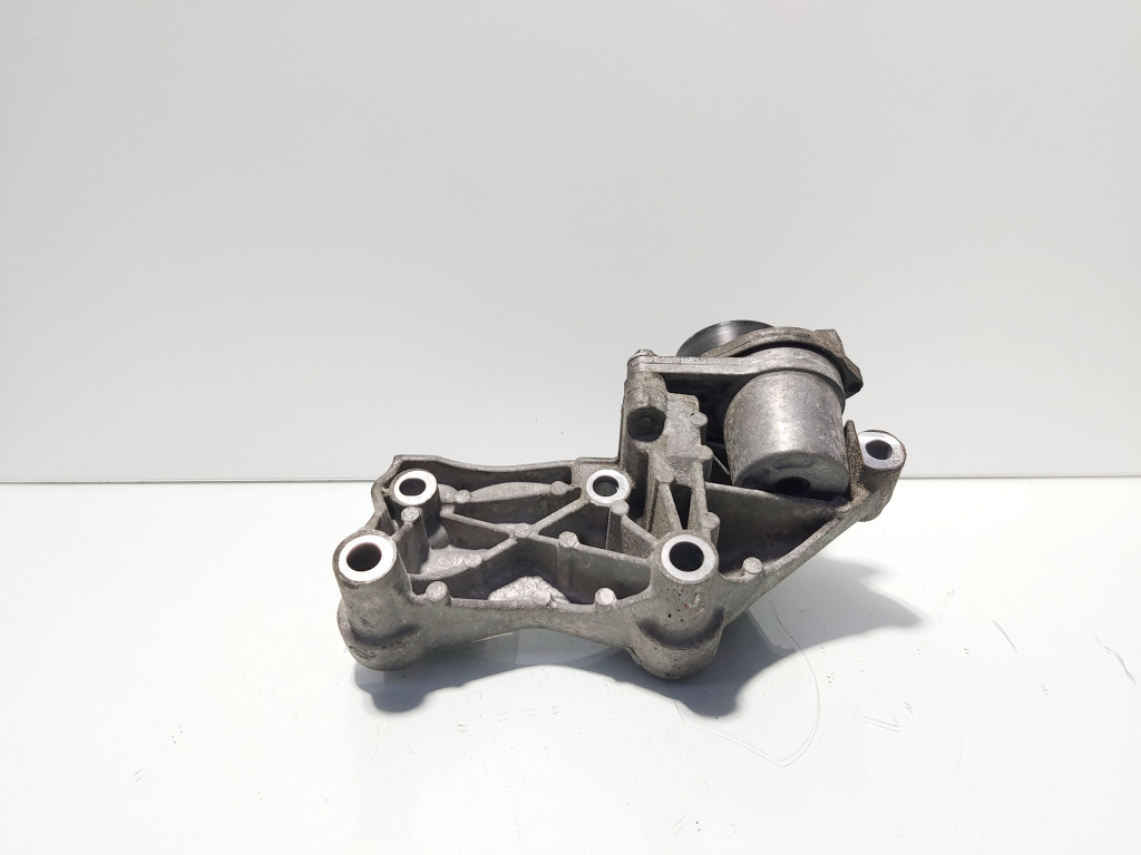 Suport accesorii, cod 117102017R, Renault Grand Scenic 3, 1.6 DCI, R9M402 (id:675615)