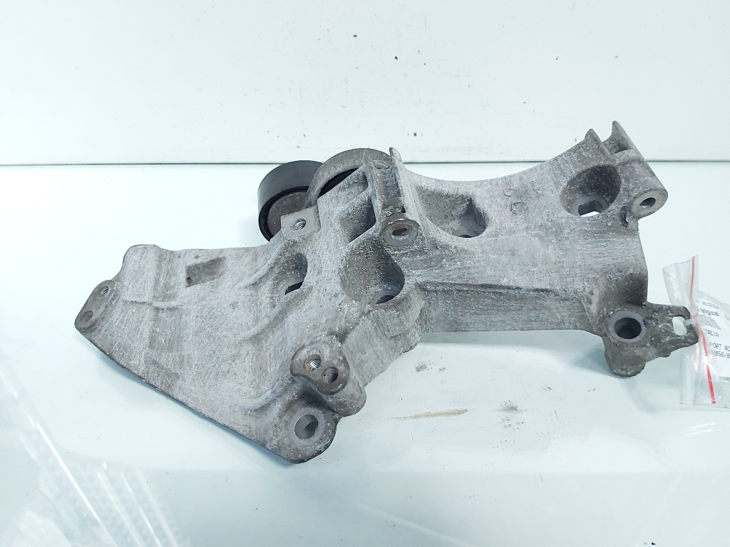 Suport accesorii, cod 8200669494, Dacia Duster 1.5 DCI, K9KR856 (id:664540)