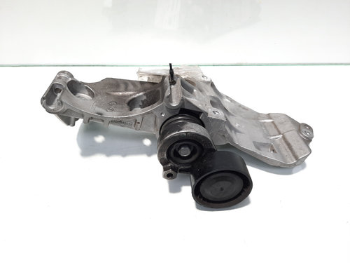 Suport accesorii, cod 8200669494, Renault Megane 4, 1.5 DCI, K9K646 (idi:485572)