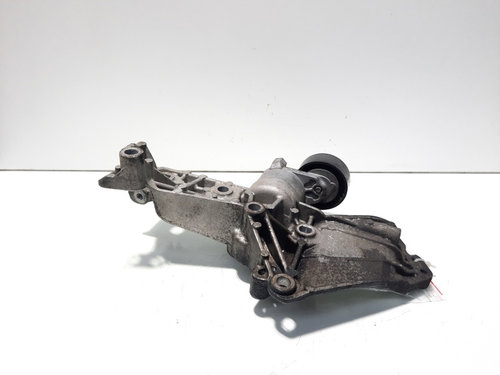 Suport accesorii, cod 8200669495, Nissan Qashqai, 1.5 TDCI, K9KP732, euro 6 (id:613388)