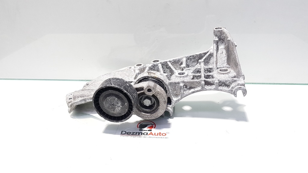 Suport accesorii, Nissan Qashqai, 1.5 tdci, 8200669495 (id:393977)