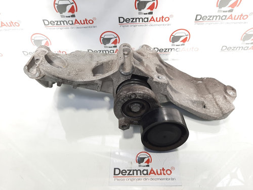Suport accesorii, Renault Kangoo 2 [Fabr 2008-prezent] 1.5 dci, K9K646, 8200669494