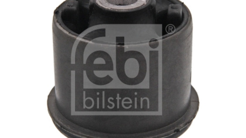 Suport, ax Axa spate ambele parti (09047 FEBI BILSTEIN) SEAT,VW