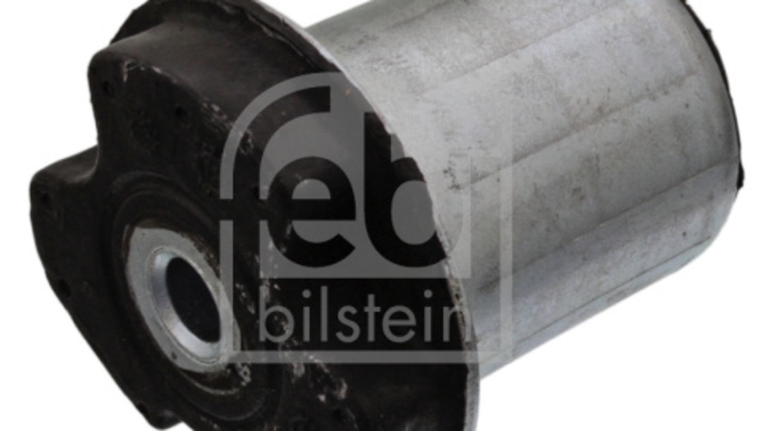 Suport, ax Axa spate ambele parti (22289 FEBI BILSTEIN) RENAULT