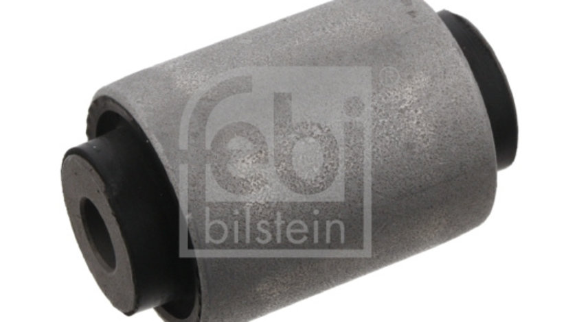 Suport, ax Axa spate ambele parti (32955 FEBI BILSTEIN) VOLVO