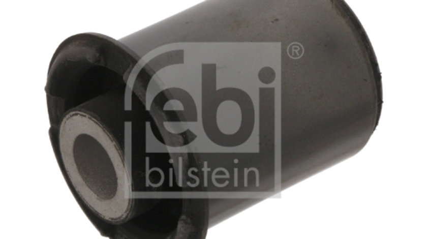 Suport, ax Axa spate ambele parti (34684 FEBI BILSTEIN) VW