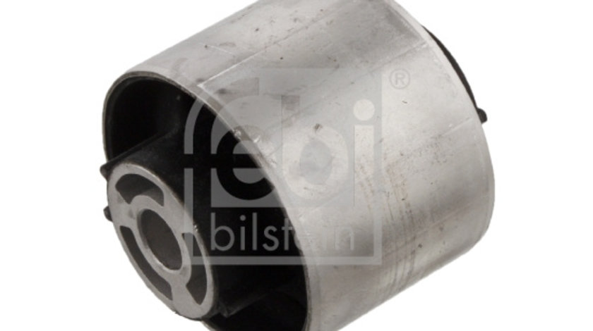 Suport, ax Axa spate ambele parti (34794 FEBI BILSTEIN) SEAT,VW