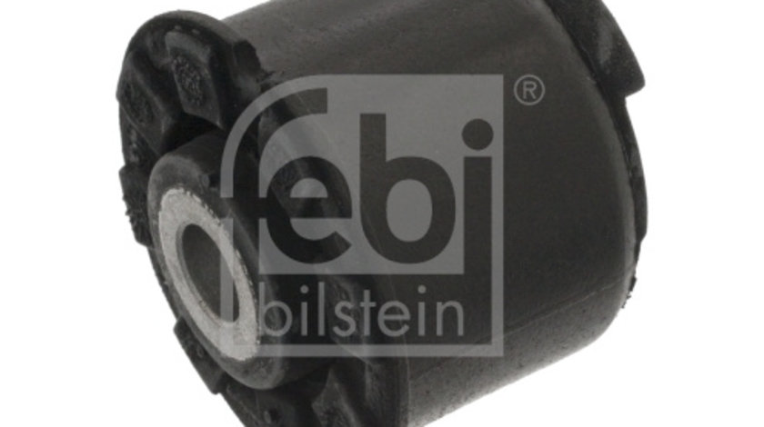 Suport, ax Axa spate ambele parti (48409 FEBI BILSTEIN) FIAT