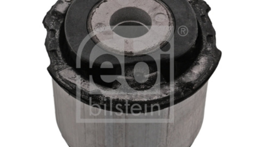 Suport, ax Axa spate ambele parti (49376 FEBI BILSTEIN) AUDI,SEAT