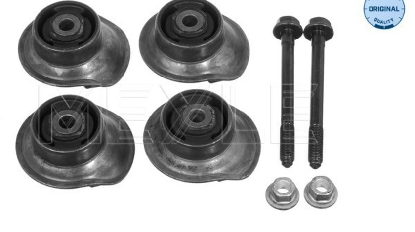 Suport, ax Axa spate dreapta (1005010014S MEYLE) VW