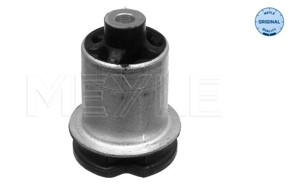 Suport, ax Axa spate dreapta (1005010018 MEYLE) AUDI