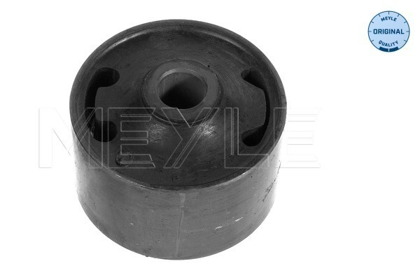 Suport, ax Axa spate dreapta (1005110002 MEYLE) AUDI