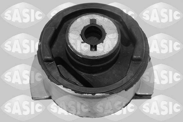 Suport, ax Axa spate dreapta (4005528 SAS) RENAULT