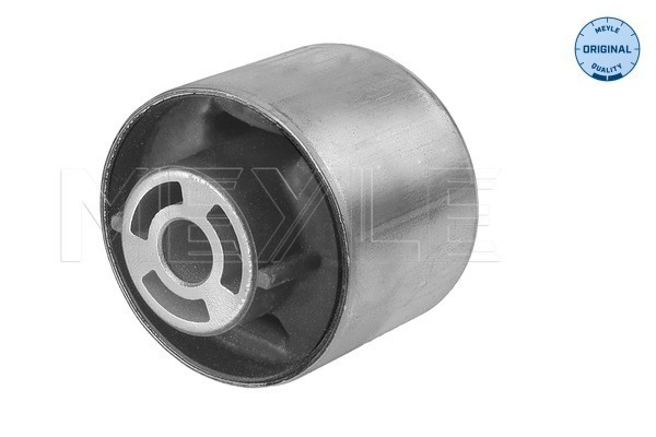 Suport, ax Axa spate stanga (1007100039 MEYLE) VW