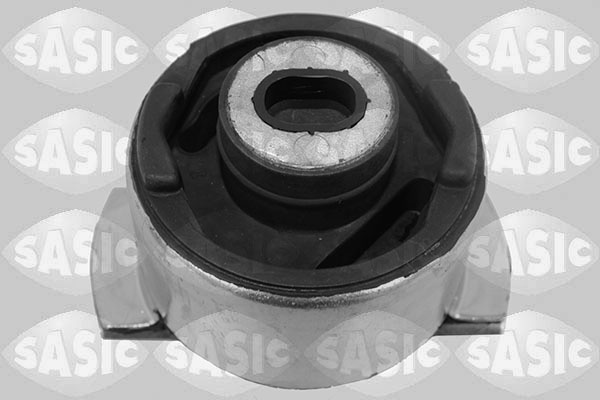 Suport, ax Axa spate stanga (4005529 SAS) RENAULT