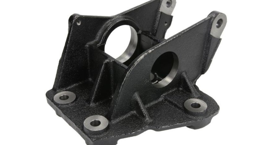 Suport, ax cardanic RENAULT MASTER II Platform/Chassis (ED/HD/UD) BTA G9F003BTA