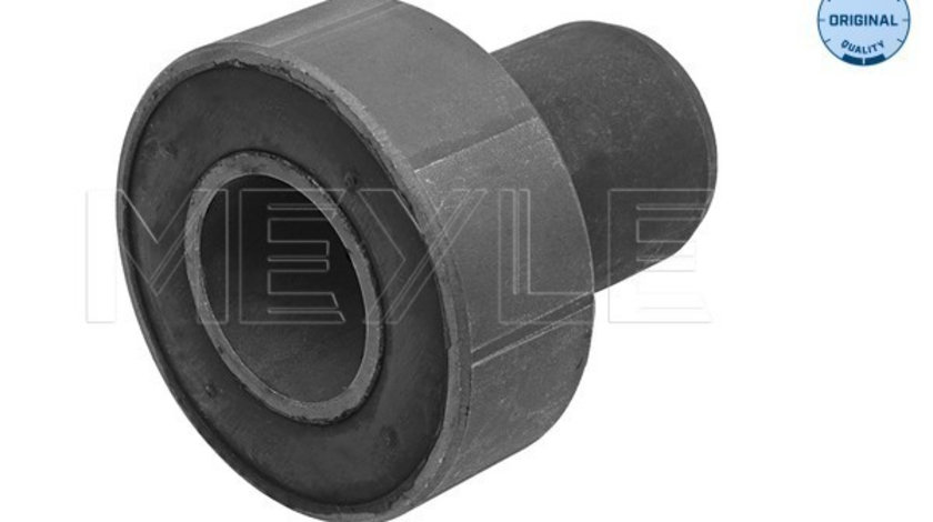 Suport, ax exterior (16147100004 MEYLE) RENAULT