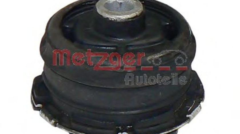 Suport, ax MERCEDES E-CLASS Combi (S210) (1996 - 2003) METZGER 52040209 piesa NOUA