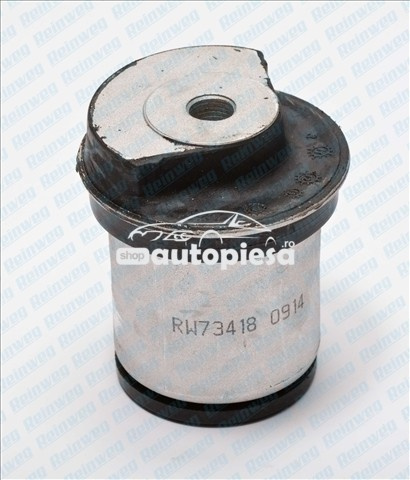 Suport, ax OPEL ASTRA G Combi (F35) (1998 - 2009) REINWEG RW73418 piesa NOUA