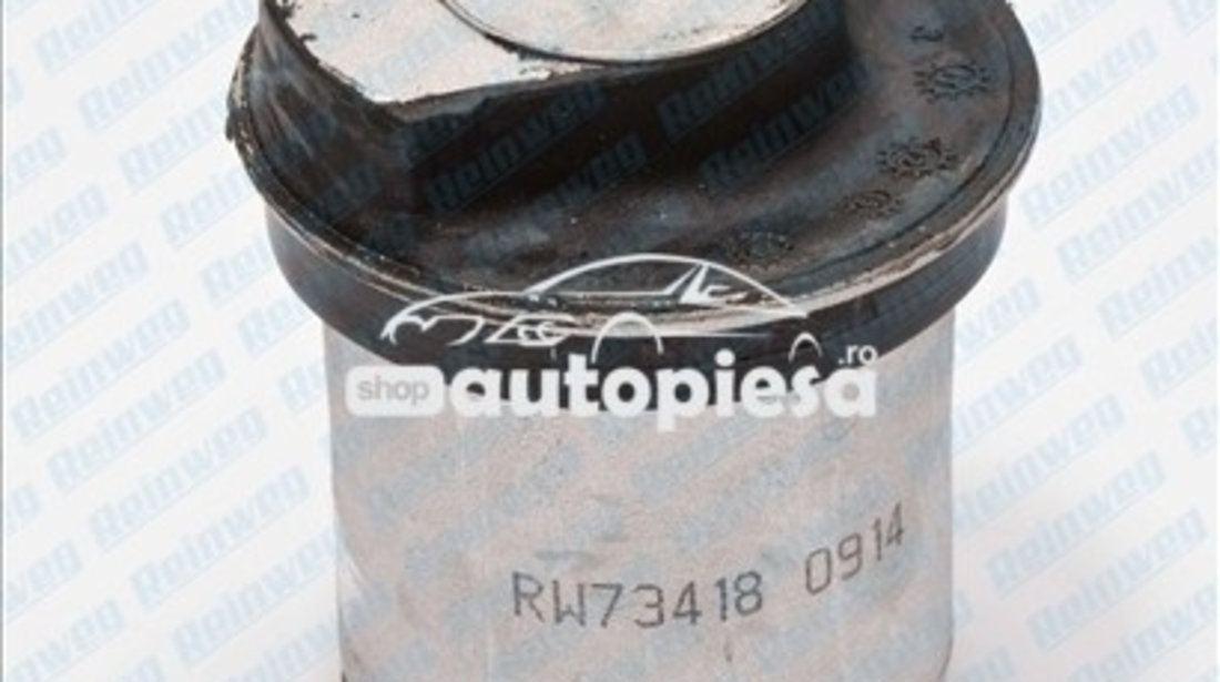 Suport, ax OPEL ASTRA G Cupe (F07) (2000 - 2005) REINWEG RW73418 piesa NOUA