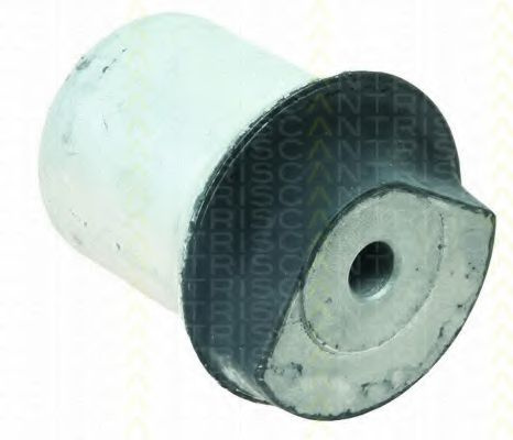 Suport, ax OPEL ASTRA G Cupe (F07) (2000 - 2005) TRISCAN 8500 24843 piesa NOUA