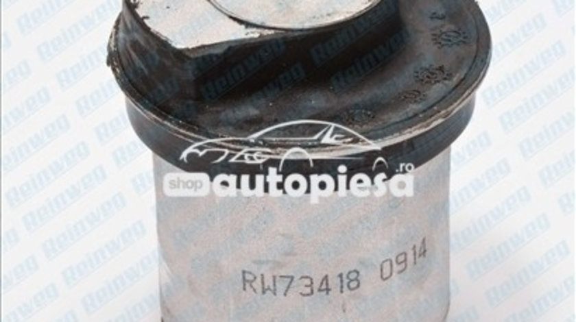 Suport, ax OPEL ASTRA G Hatchback (F48, F08) (1998 - 2009) REINWEG RW73418 piesa NOUA