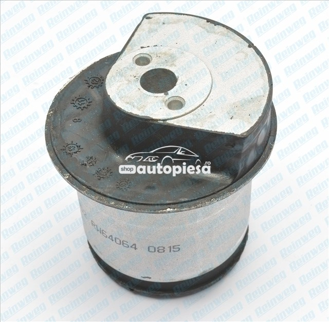 Suport, ax OPEL ZAFIRA B (A05) (2005 - 2016) REINWEG RW64064 piesa NOUA