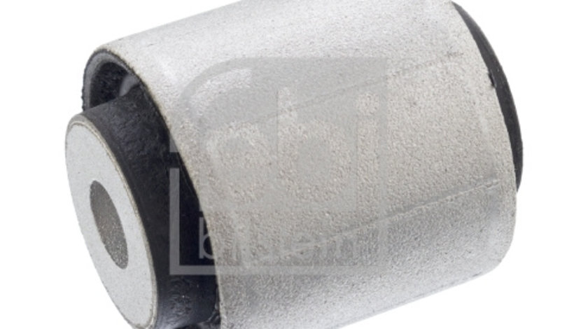 Suport, ax puntea spate (104991 FEBI BILSTEIN) FIAT