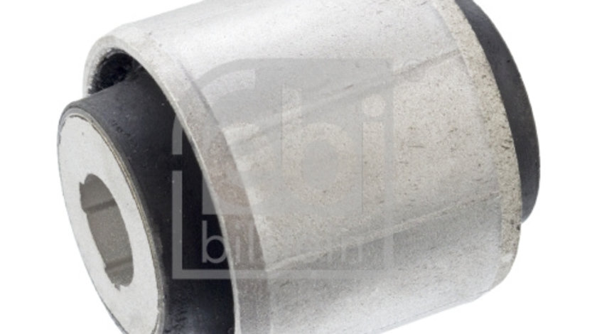 Suport, ax puntea spate (105509 FEBI BILSTEIN) FIAT