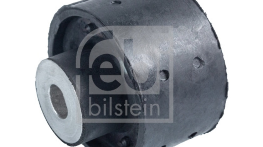 Suport, ax puntea spate (12629 FEBI BILSTEIN) BMW